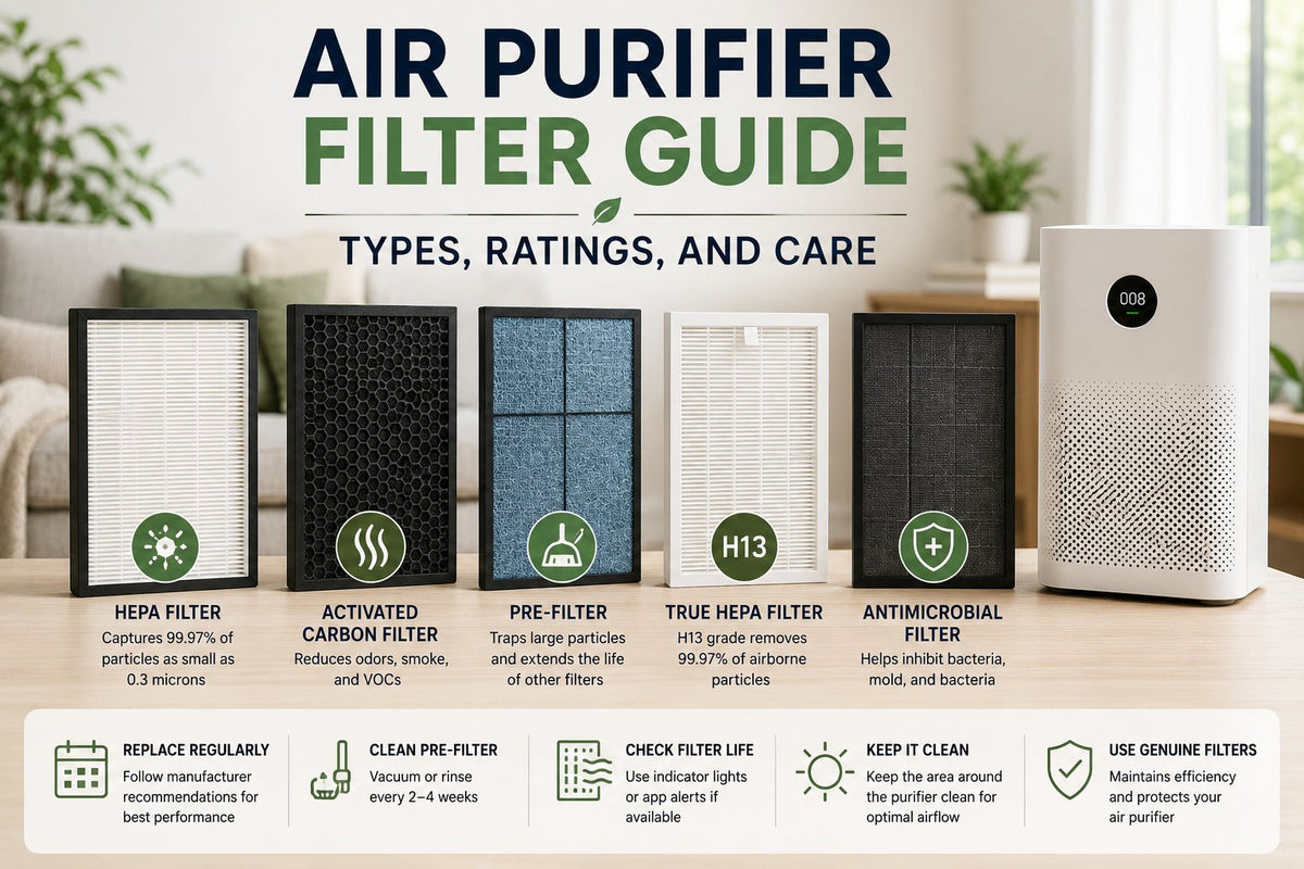 Air Purifier Filter Guide: Types, Ratings, and Care