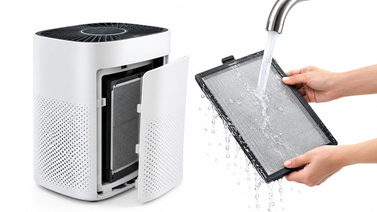 Air Purifier with Washable Filter: What You Need to Know