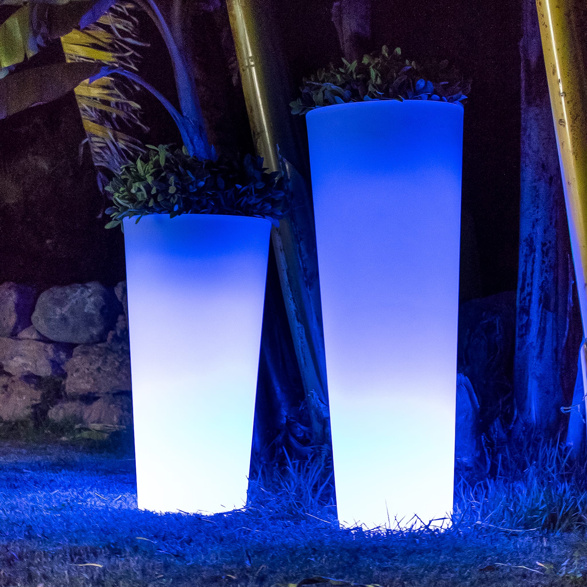 Ficus - Solar & Rechargeable