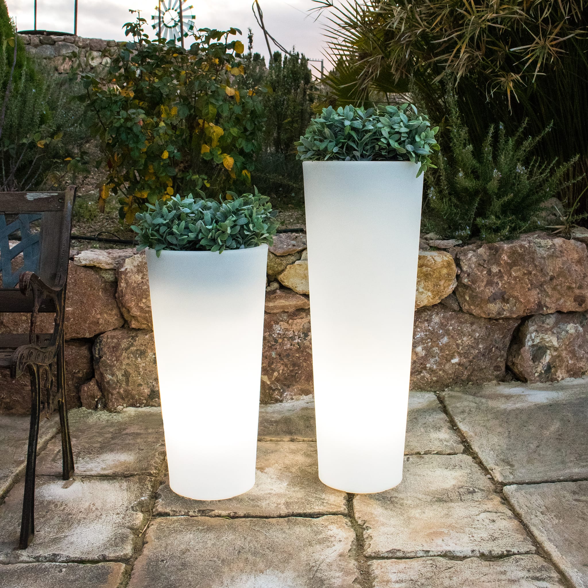 Ficus - Solar & Rechargeable